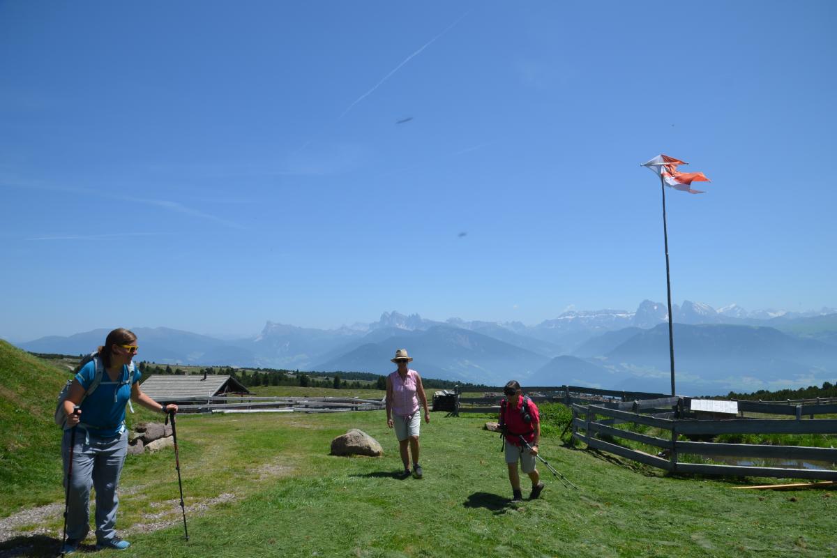 Platzer Alm 26.06.2019